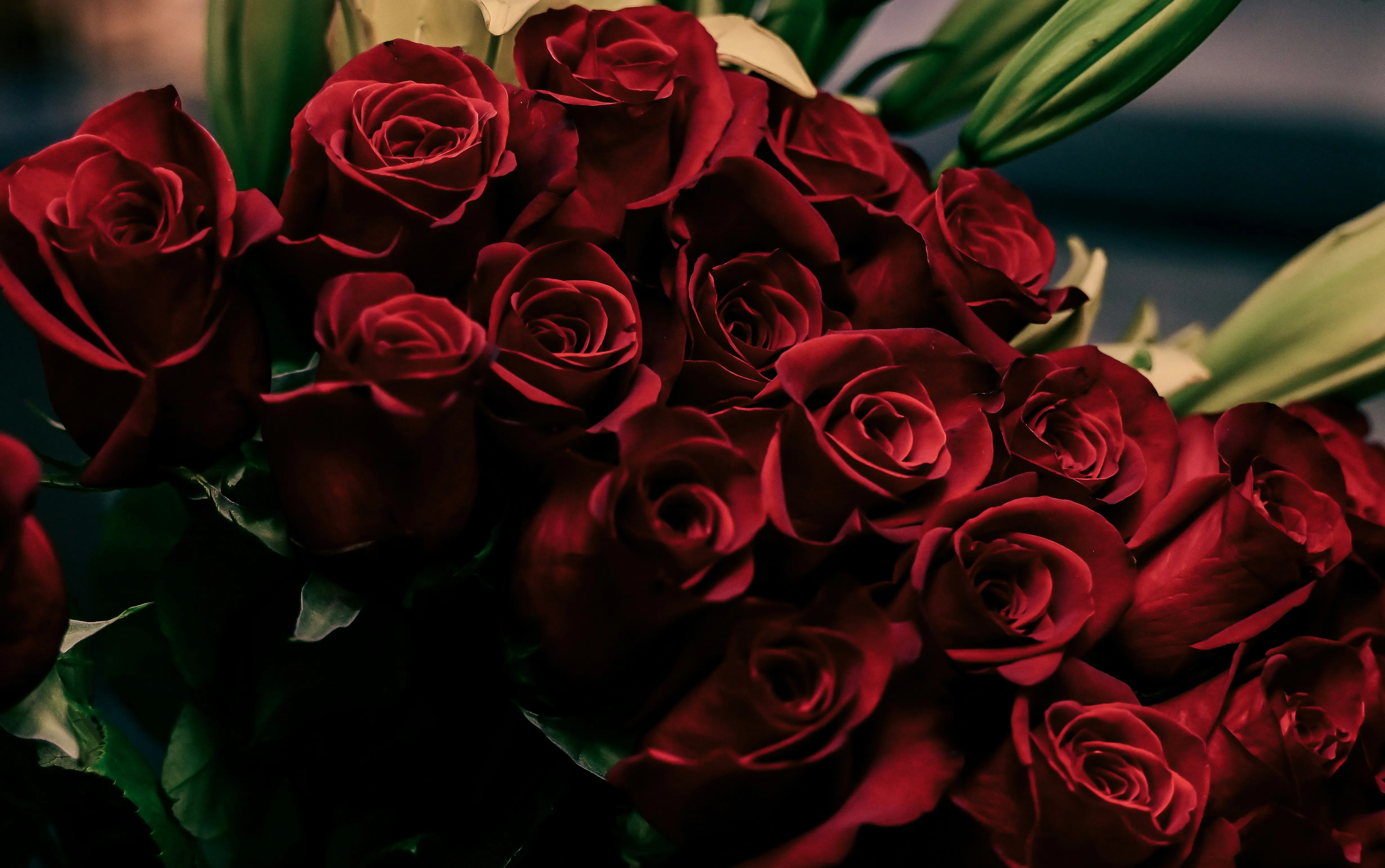 Roses